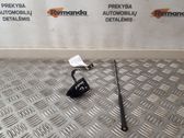 Radio antenna