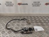 Lambdasonde Regelsonde