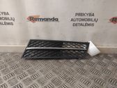 Front bumper lower grill