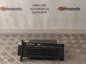 Electric cabin heater radiator