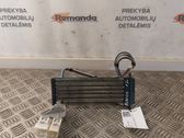 Electric cabin heater radiator