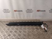 Tailgate/trunk strut/damper