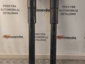 Rear shock absorber/damper