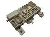 Fuse module