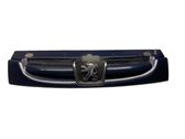 Front bumper upper radiator grill