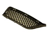 Front bumper lower grill