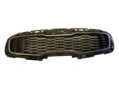 Front bumper upper radiator grill