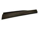 Front door trim (molding)
