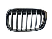 Front bumper upper radiator grill