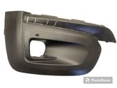 Front fog light trim/grill