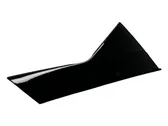 Rear door glass trim molding