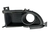 Front fog light trim/grill