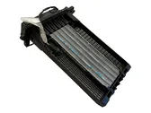 Electric cabin heater radiator