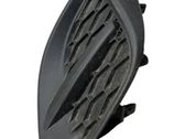 Moldura/rejilla de la luz antiniebla delantera