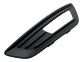 Front fog light trim/grill