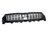 Front grill