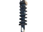 Front shock absorber with coil spring