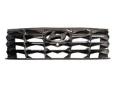 Front bumper upper radiator grill