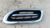 Front bumper lower grill