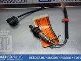 Lambdasonde Regelsonde