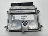 Engine control unit/module ECU
