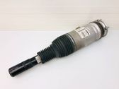 Air suspension front shock absorber