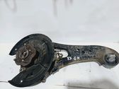 Rear wheel hub
