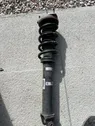 Rear shock absorber with coil spring