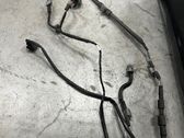 Parking sensor (PDC) wiring loom