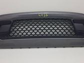 Front bumper lower grill