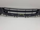 Front bumper upper radiator grill