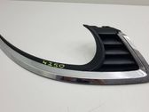 Front grill