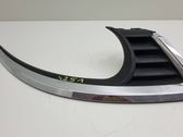 Front bumper upper radiator grill