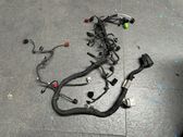 Faisceau de câblage pour moteur