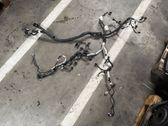 Faisceau de câblage pour moteur