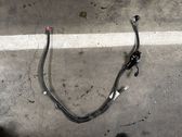 Faisceau de câblage pour moteur