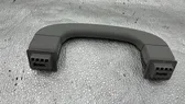 Front interior roof grab handle