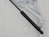 Tailgate/trunk/boot hinge
