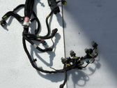 Other wiring loom