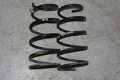 Front coil spring