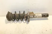 Front shock absorber with coil spring