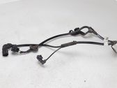 Cableado del sensor ABS trasero