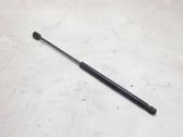 Front bonnet/hood damper/strut