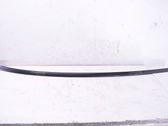 Roof trim bar molding cover