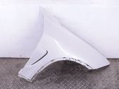 Fender