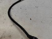 Other wiring loom