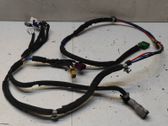 Other wiring loom