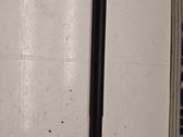Tailgate/trunk strut/damper