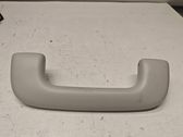 Front interior roof grab handle