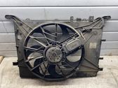 Electric radiator cooling fan